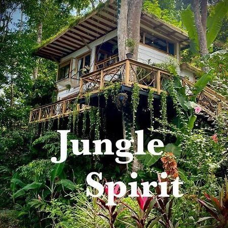 Jungle Spirit Treehouse Villa Cahuita Exterior foto