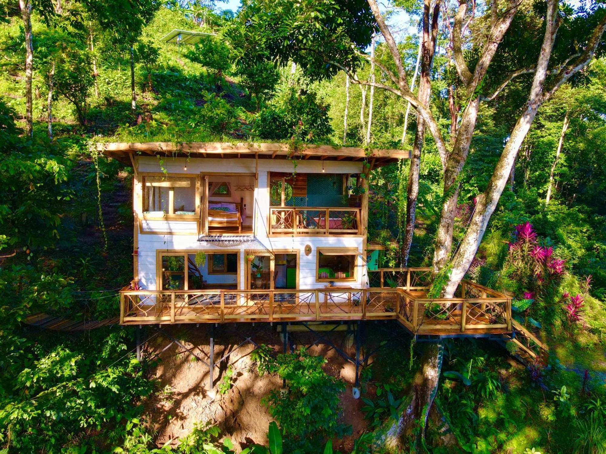 Jungle Spirit Treehouse Villa Cahuita Exterior foto