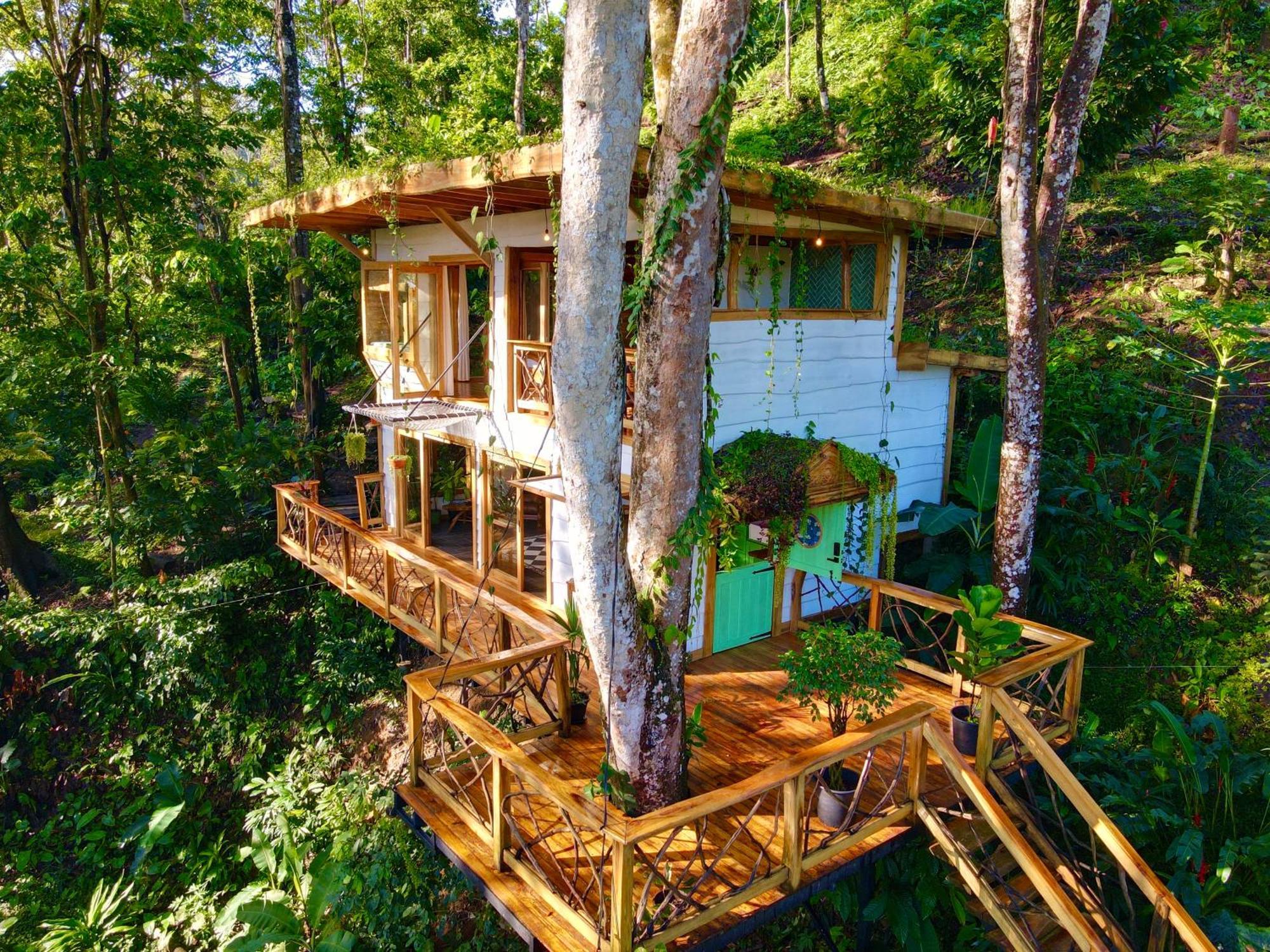 Jungle Spirit Treehouse Villa Cahuita Exterior foto