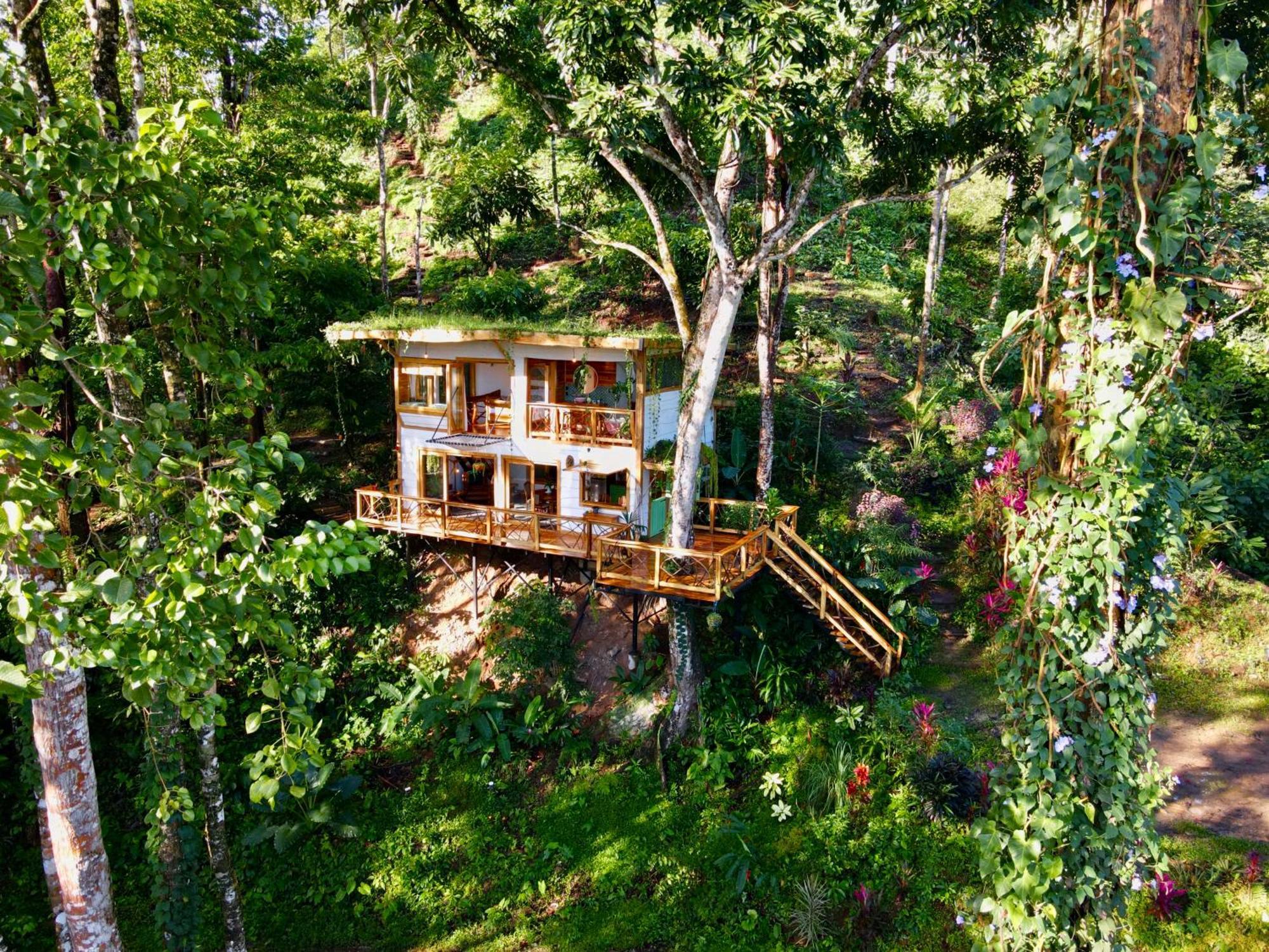Jungle Spirit Treehouse Villa Cahuita Exterior foto