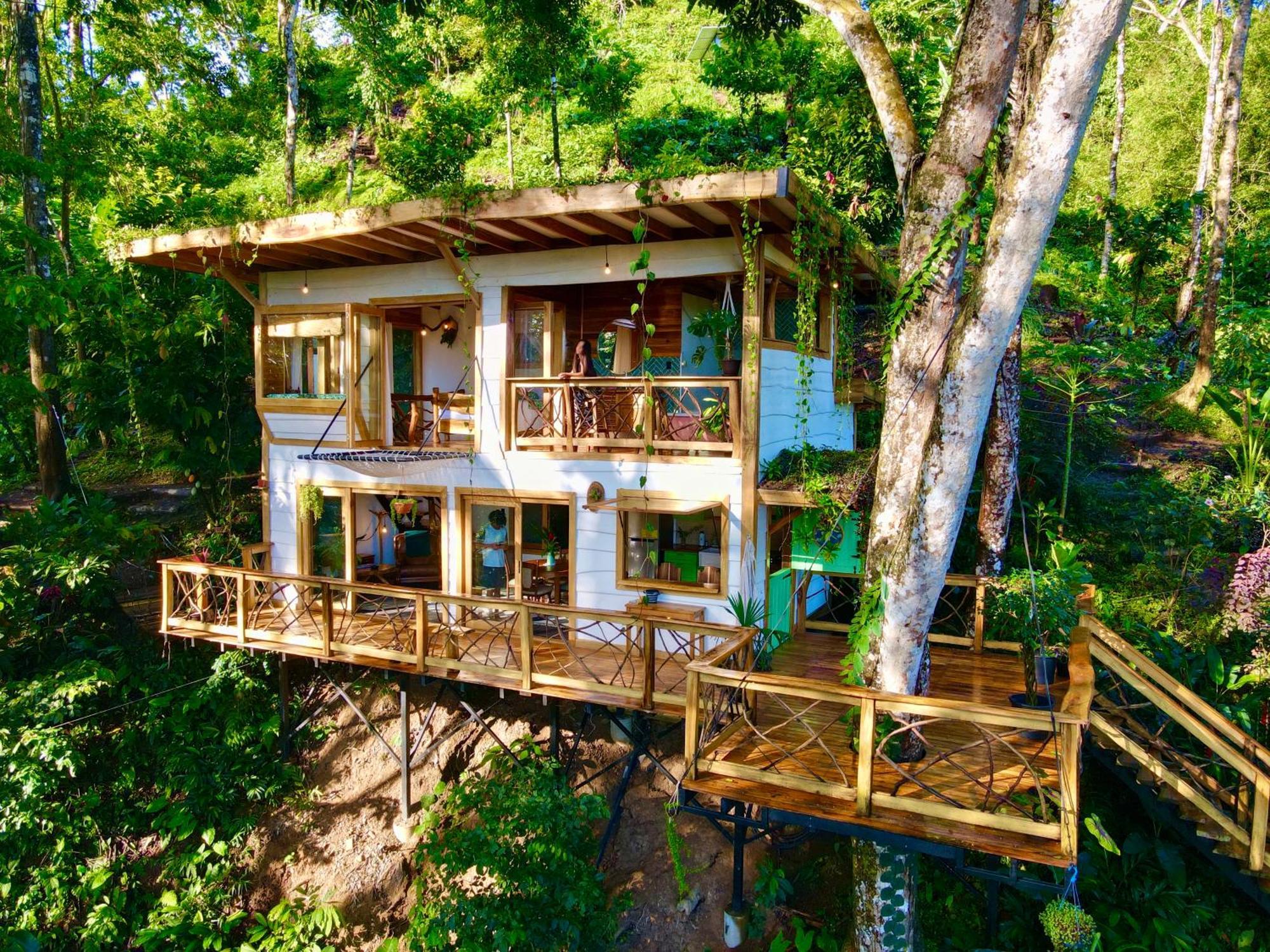Jungle Spirit Treehouse Villa Cahuita Exterior foto