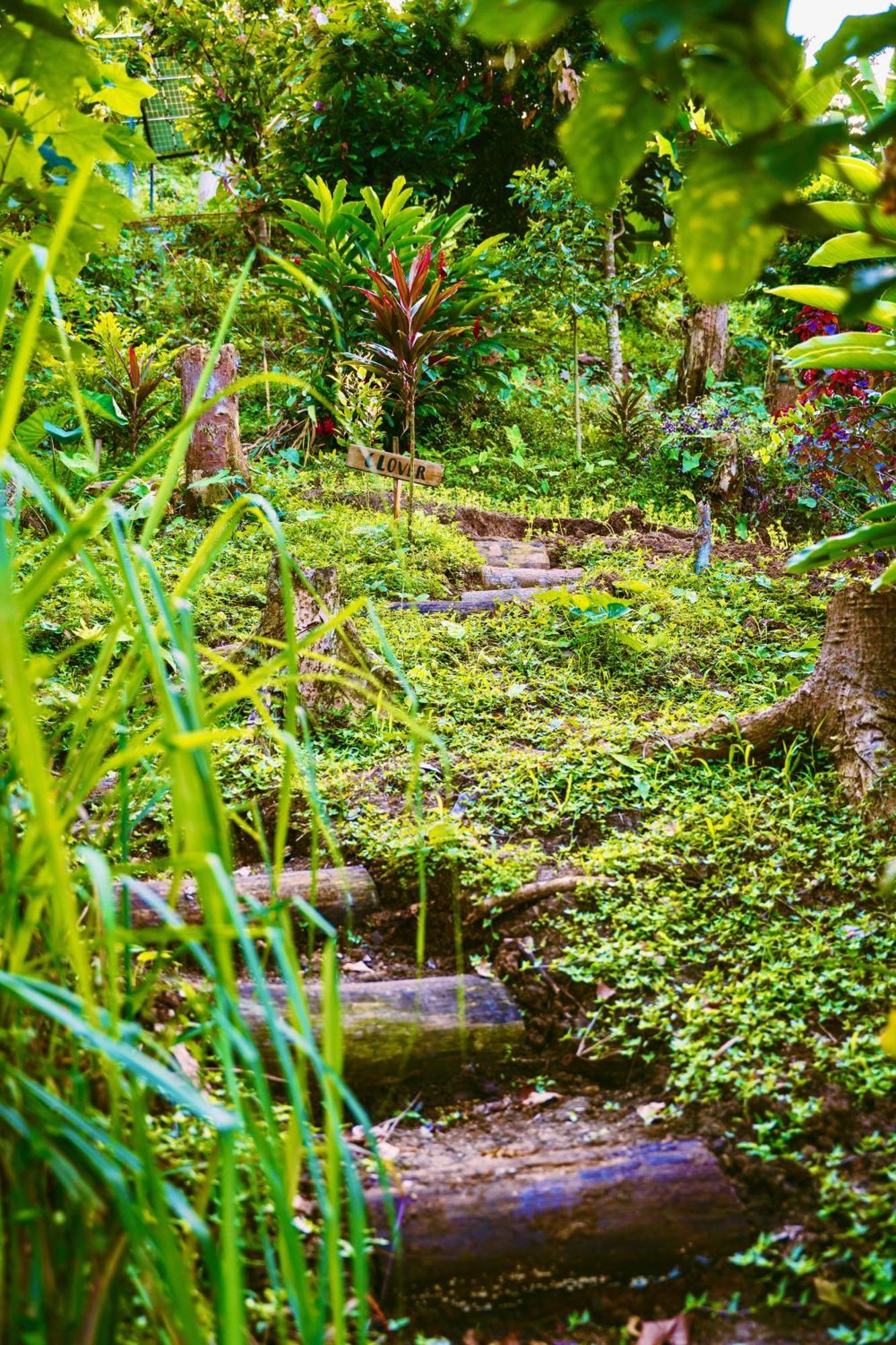 Jungle Spirit Treehouse Villa Cahuita Exterior foto