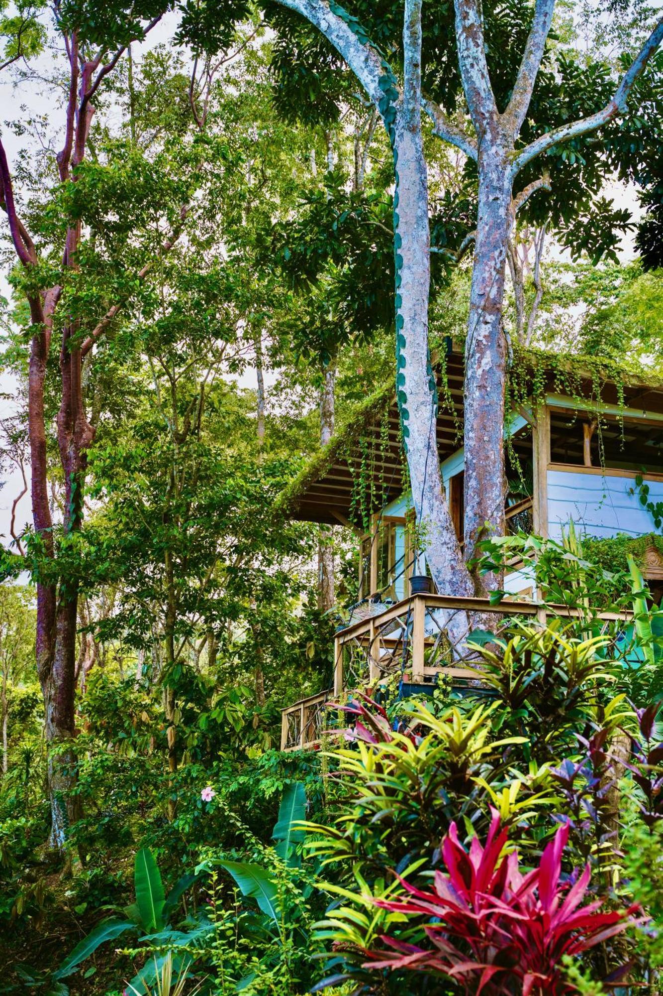 Jungle Spirit Treehouse Villa Cahuita Exterior foto