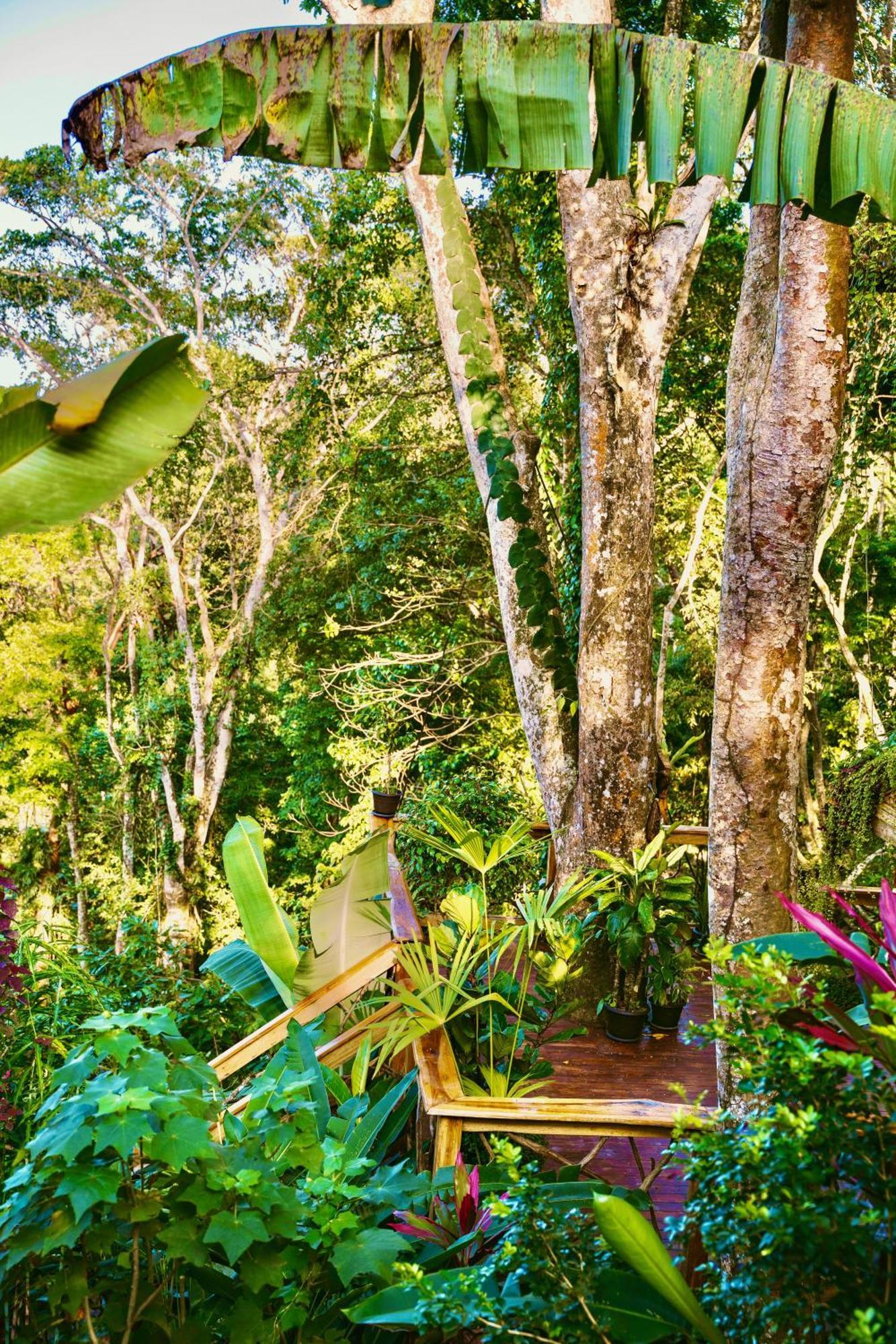 Jungle Spirit Treehouse Villa Cahuita Exterior foto