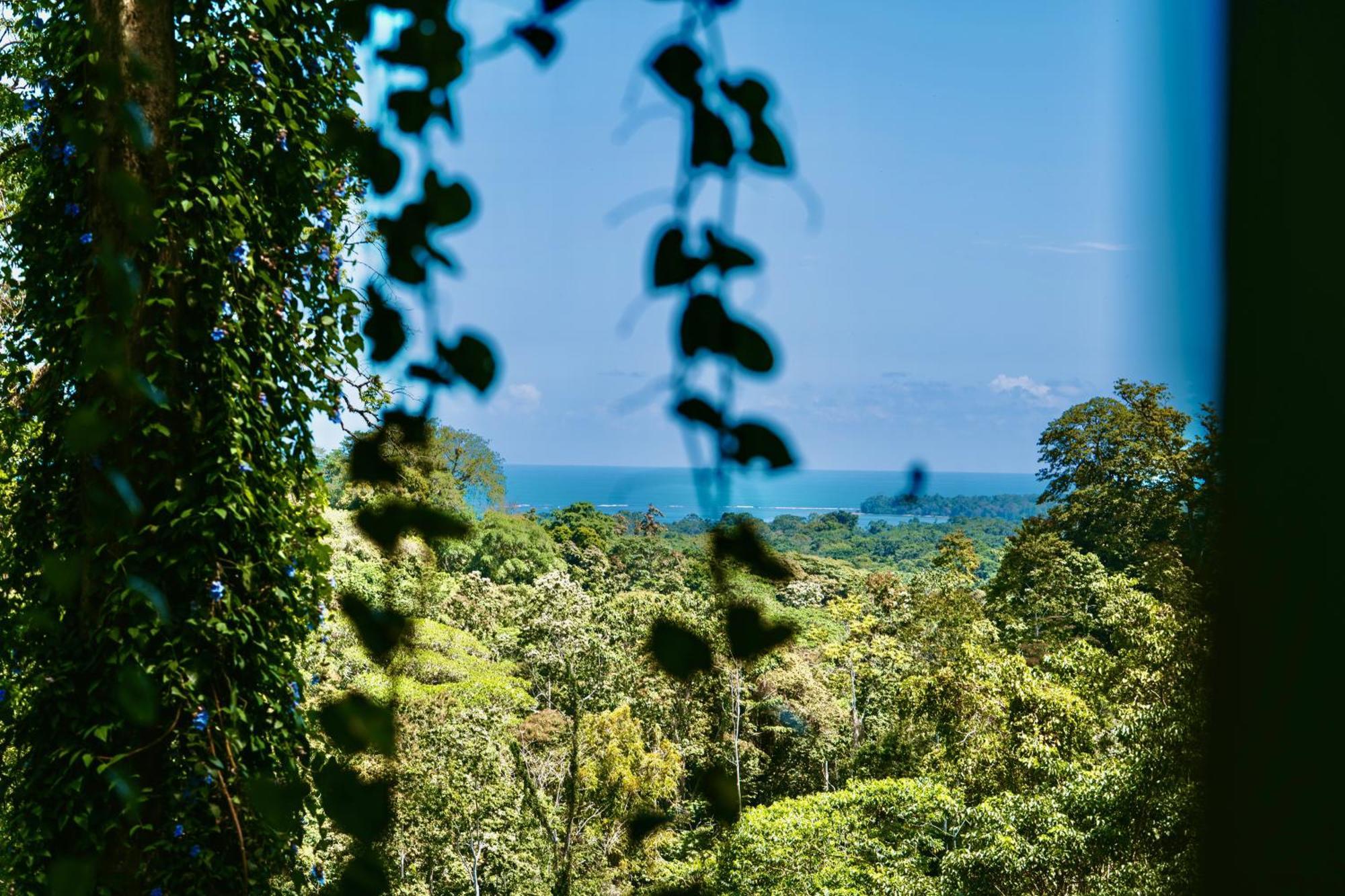 Jungle Spirit Treehouse Villa Cahuita Exterior foto